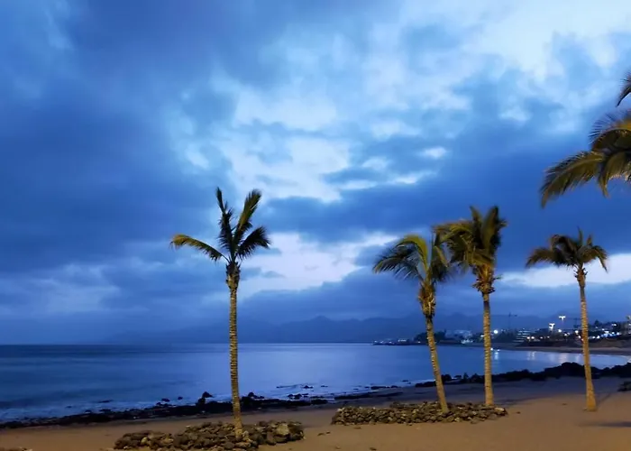 Ave Paraiso - Cozy And Sunny House