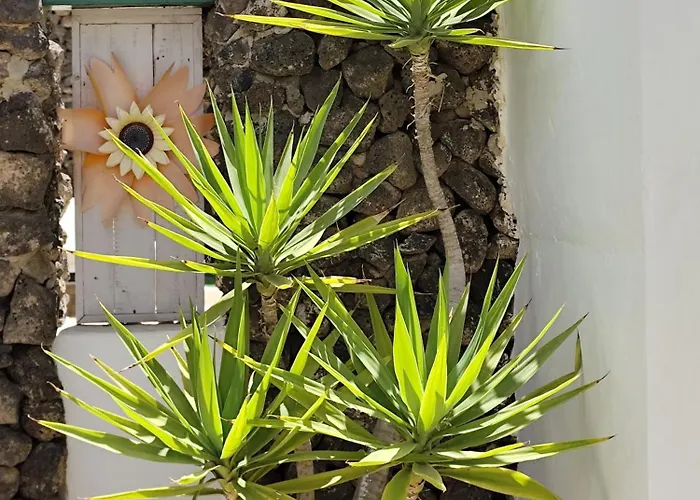 Ave Paraiso - Cozy And Sunny House *