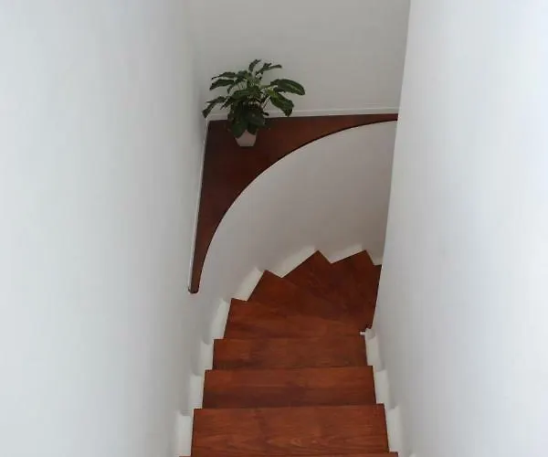 Ave Paraiso - Cozy And Sunny House شقة *