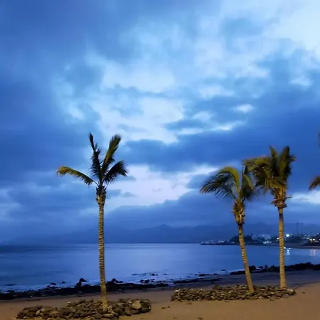 Ave Paraíso - Cozy&sunny House