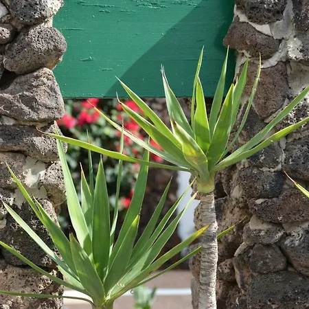 Appartamento Ave Paraiso - Cozy And Sunny House