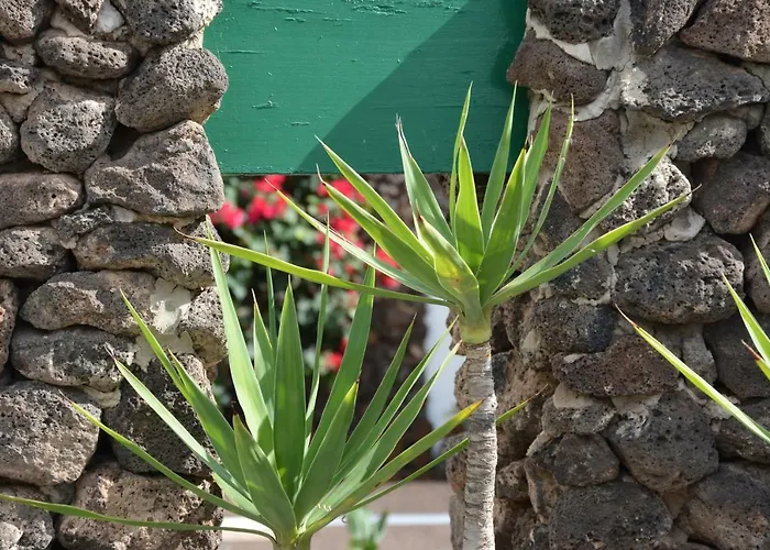 Appartement Ave Paraiso - Cozy And Sunny House